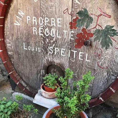 Chez Josephine - Le Nid Douillet Des Vignes * Dambach