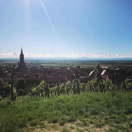 Chez Josephine - Le Nid Douillet Des Vignes Dambach