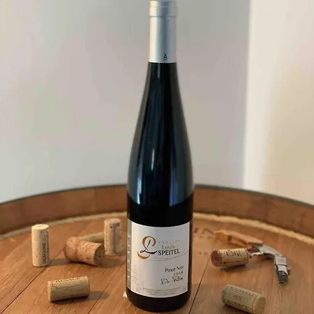 Chez Josephine - Le Nid Douillet Des Vignes Apartman Dambach