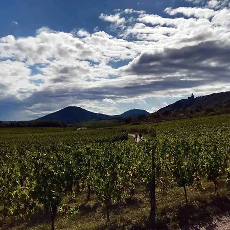 Chez Josephine - Le Nid Douillet Des Vignes Apartman
